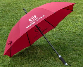 夏天活動(dòng)小禮品