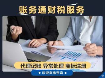 工商注冊 代理記賬財稅服務提供申辦一般納稅人、稅控代辦+票種核定等服務